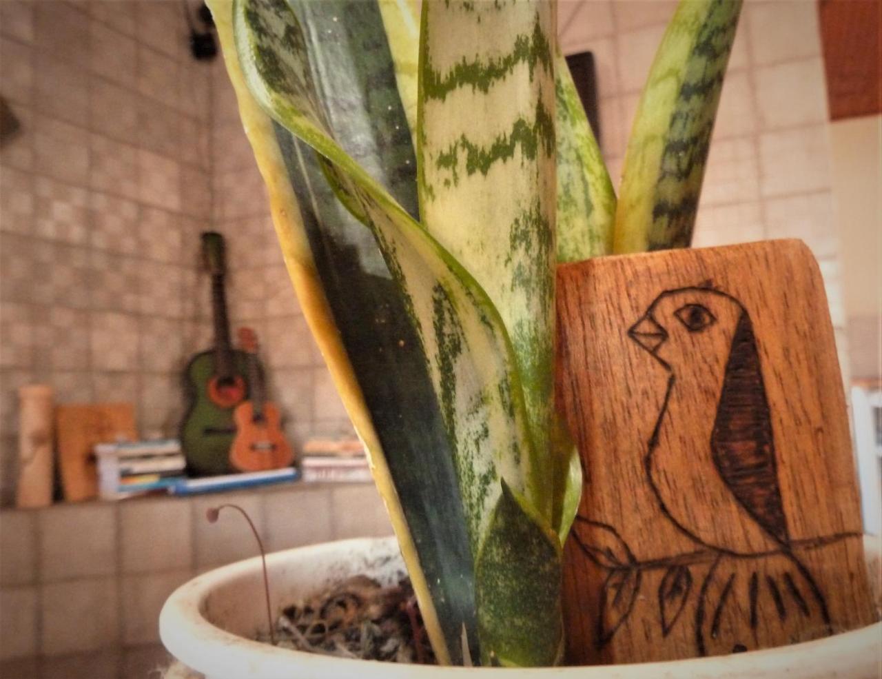 مبيت وإفطار Mucugê Casa Di Vo المظهر الخارجي الصورة